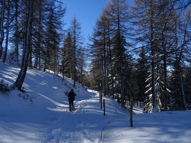 Catena dei Lagorai...da Pergine al Passo del Manghen